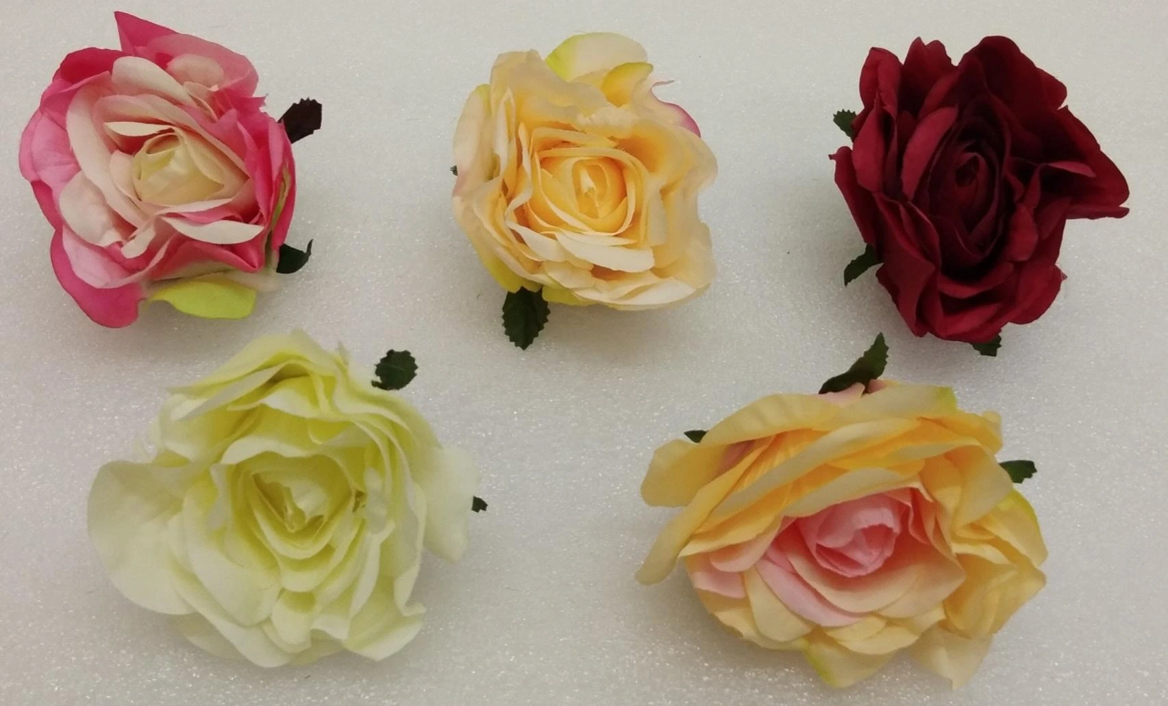 Big Rose Open 15cm